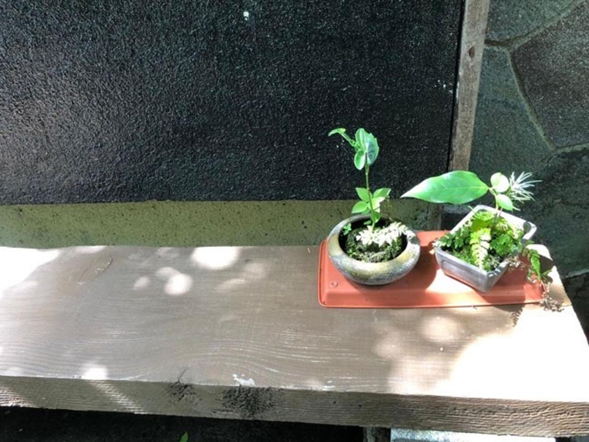 Chambre Dhote Tatami Suwa  Buitenkant foto